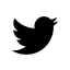 twitter.PNG