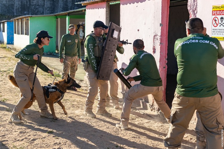 ACADEPOL Policiais concluem treinamento para operar com cães em ações operacionais  (1).jpg