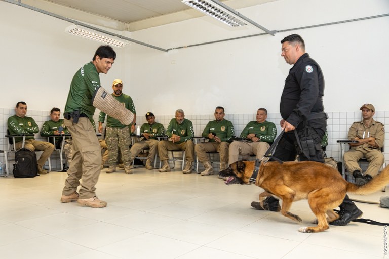 ACADEPOL Policiais concluem treinamento para operar com cães em ações operacionais  (11).jpg