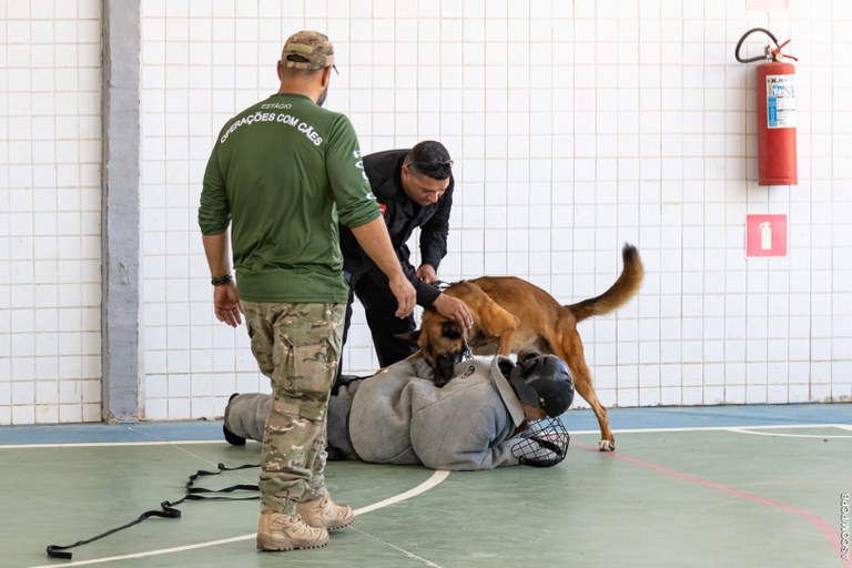 ACADEPOL Policiais concluem treinamento para operar com cães em ações operacionais  (13).jpg