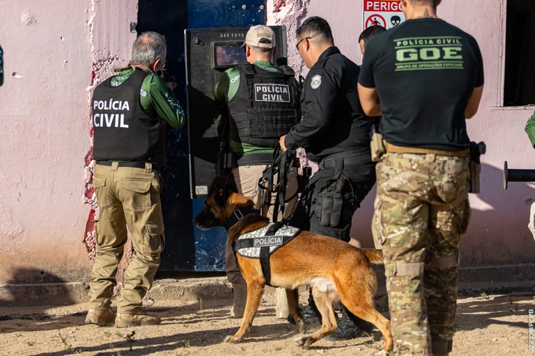 ACADEPOL Policiais concluem treinamento para operar com cães em ações operacionais  (4).jpg