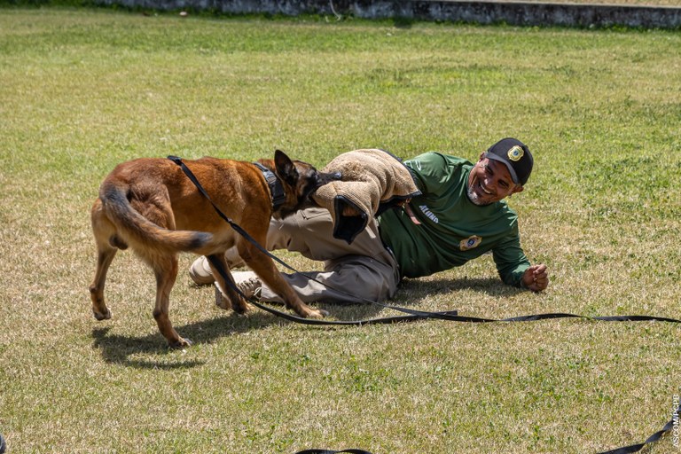 ACADEPOL Policiais concluem treinamento para operar com cães em ações operacionais  (6).jpg