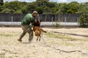 ACADEPOL Policiais concluem treinamento para operar com cães em ações operacionais  (7).jpg