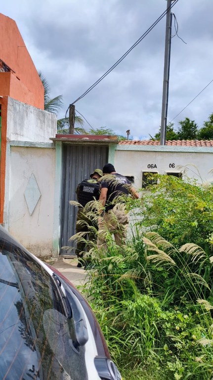 4patas2.jpeg