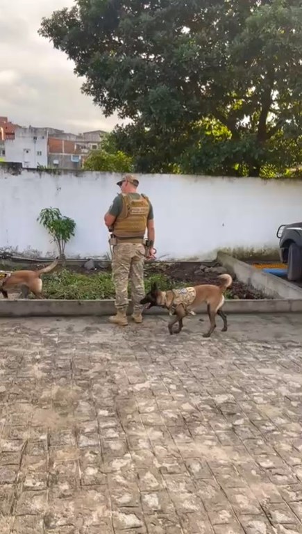 Captura de tela 2025-06-11 111603.jpg